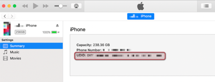 iTunes unter Windows mit der Übersicht eines angeschlossenen iPhones, in der die Gerätedaten mit Seriennummer bzw. UDID angezeigt werden